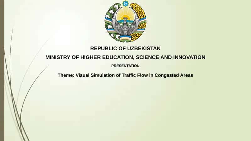 Visual Simulation of Traffic Flow in Congested Areas 1