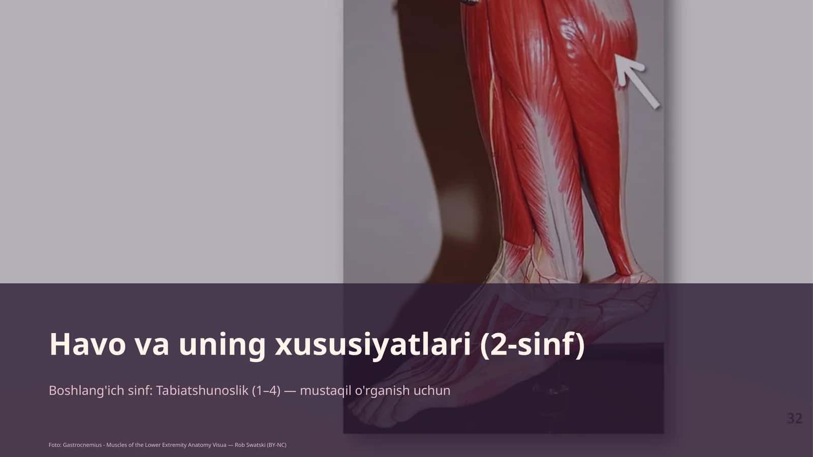 Havo va uning xususiyatlari (2-sinf) 1
