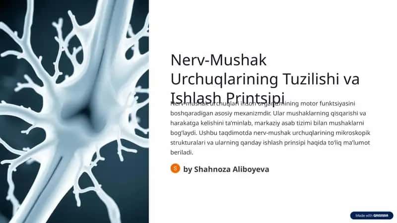 Nerv-Mushak Urchuqlarining Tuzilishi va Ishlash Printsipi 1