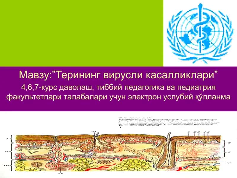 Терининг вирусли касалликлари-вирусли дерматозлар электрон услубий қўлланма 1
