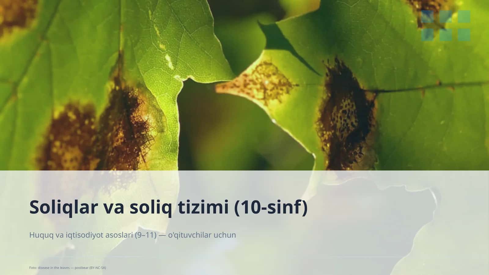 Soliqlar va soliq tizimi (10-sinf) 1