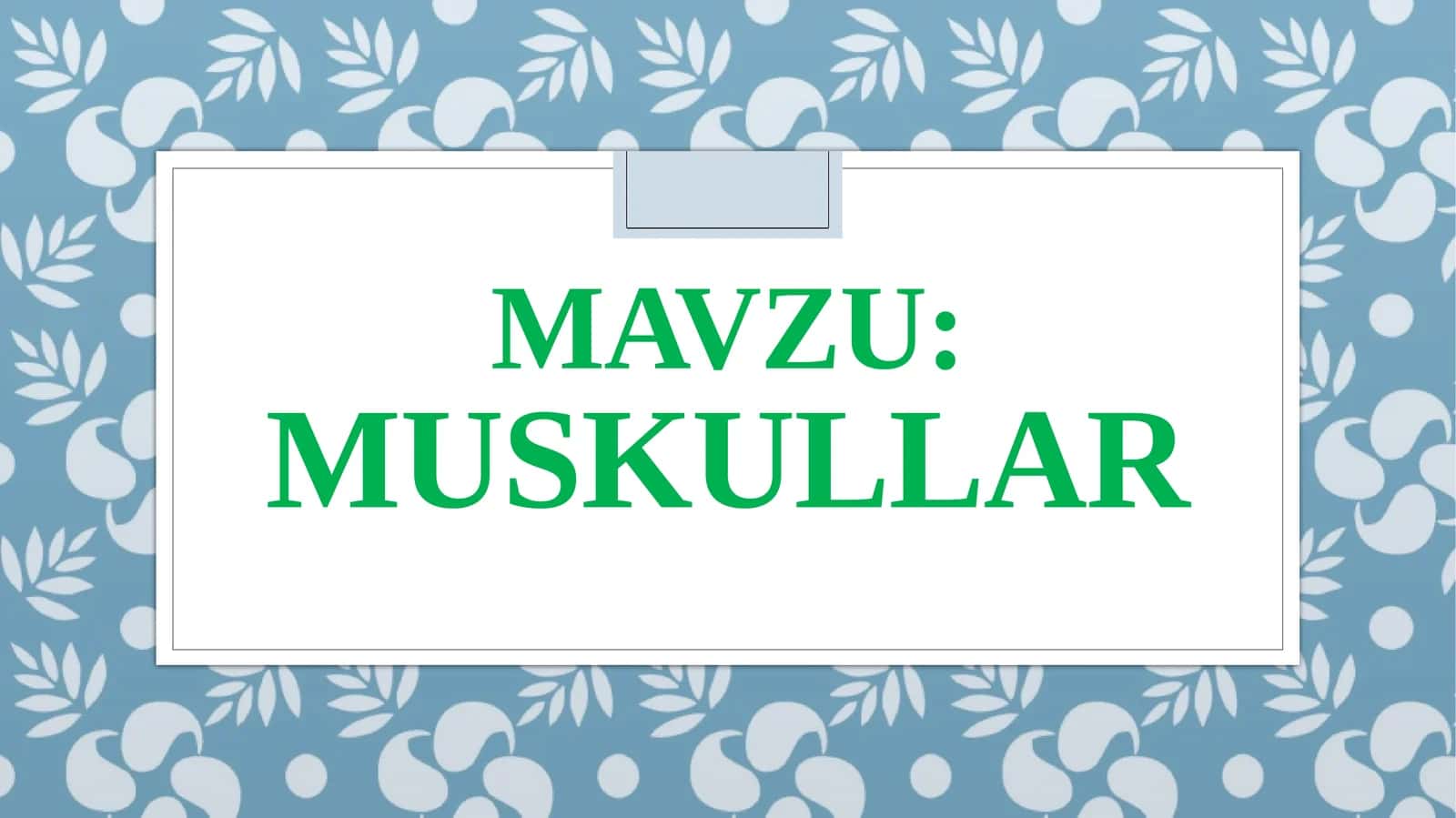 Muskullar 1