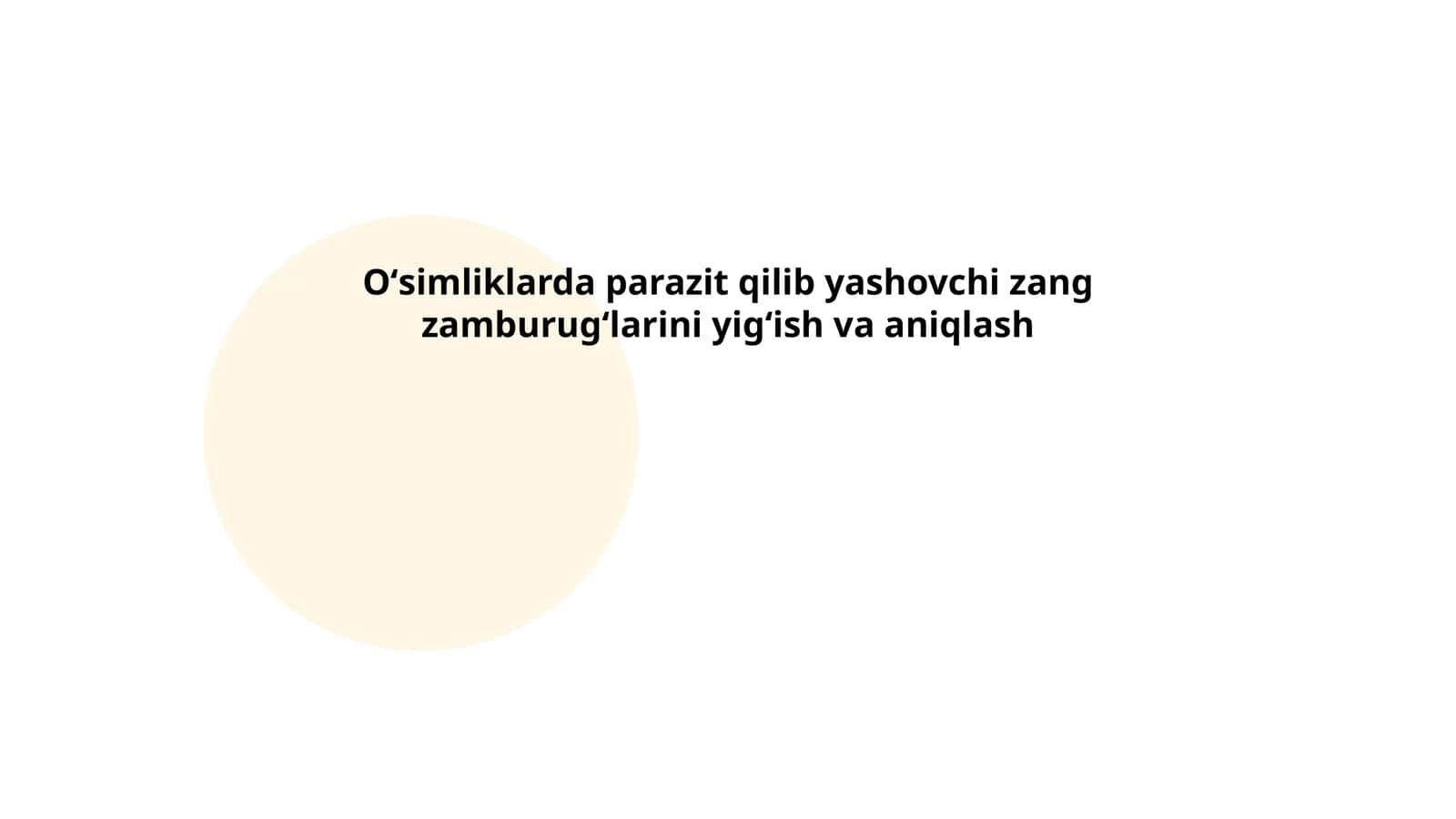 Zang zamburugʻlarning biologik xususiyatlari 1