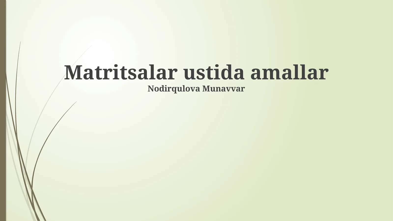 Matritsalar ustida amallar 1