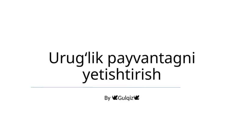 Urugʻlik payvantagni yetishtirish 1