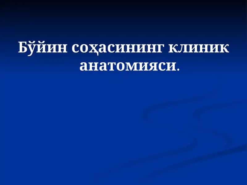 Бўйин соҳасининг клиник анатомияси 1