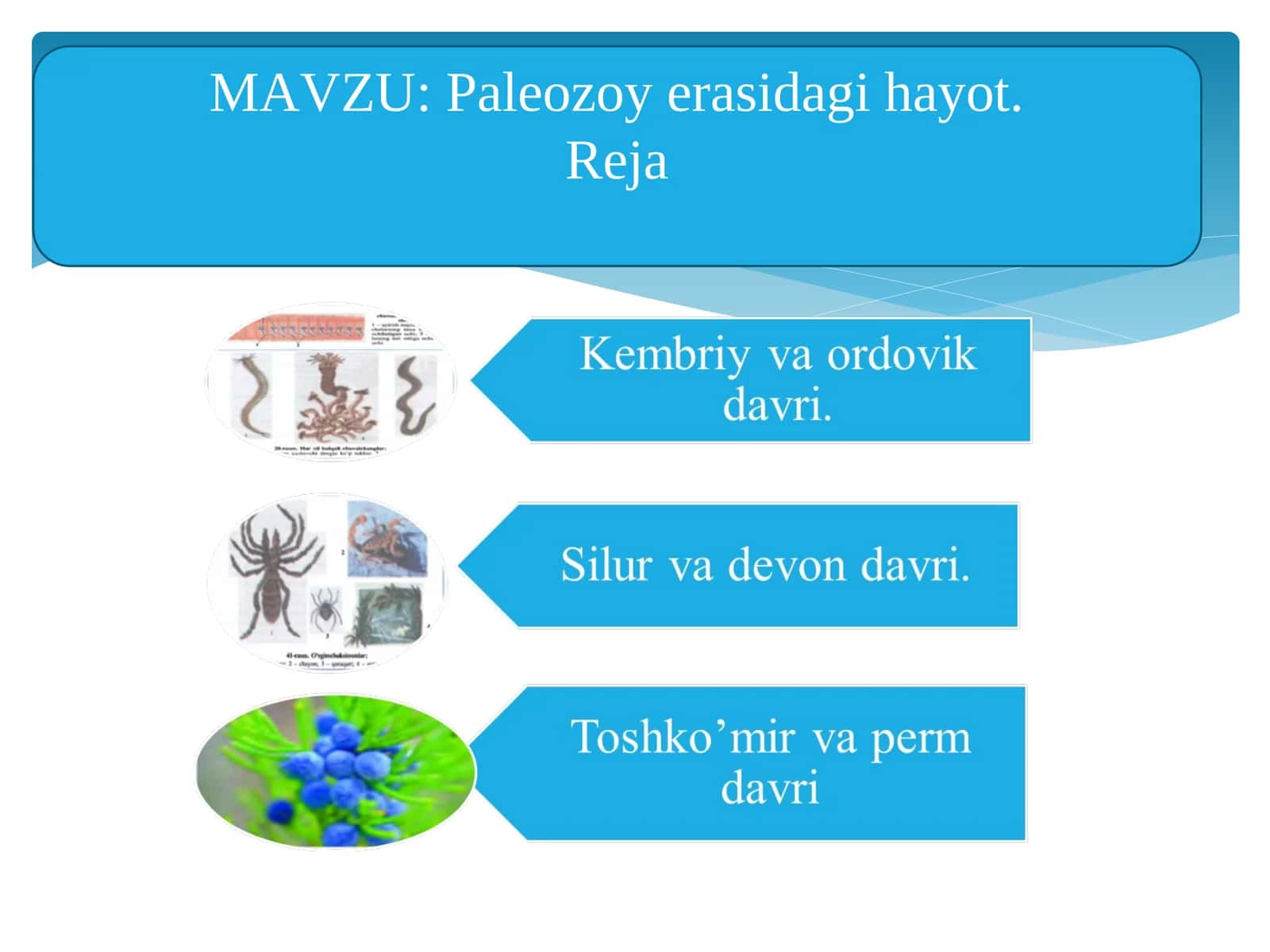 Paleozoy erasidagi hayot 1