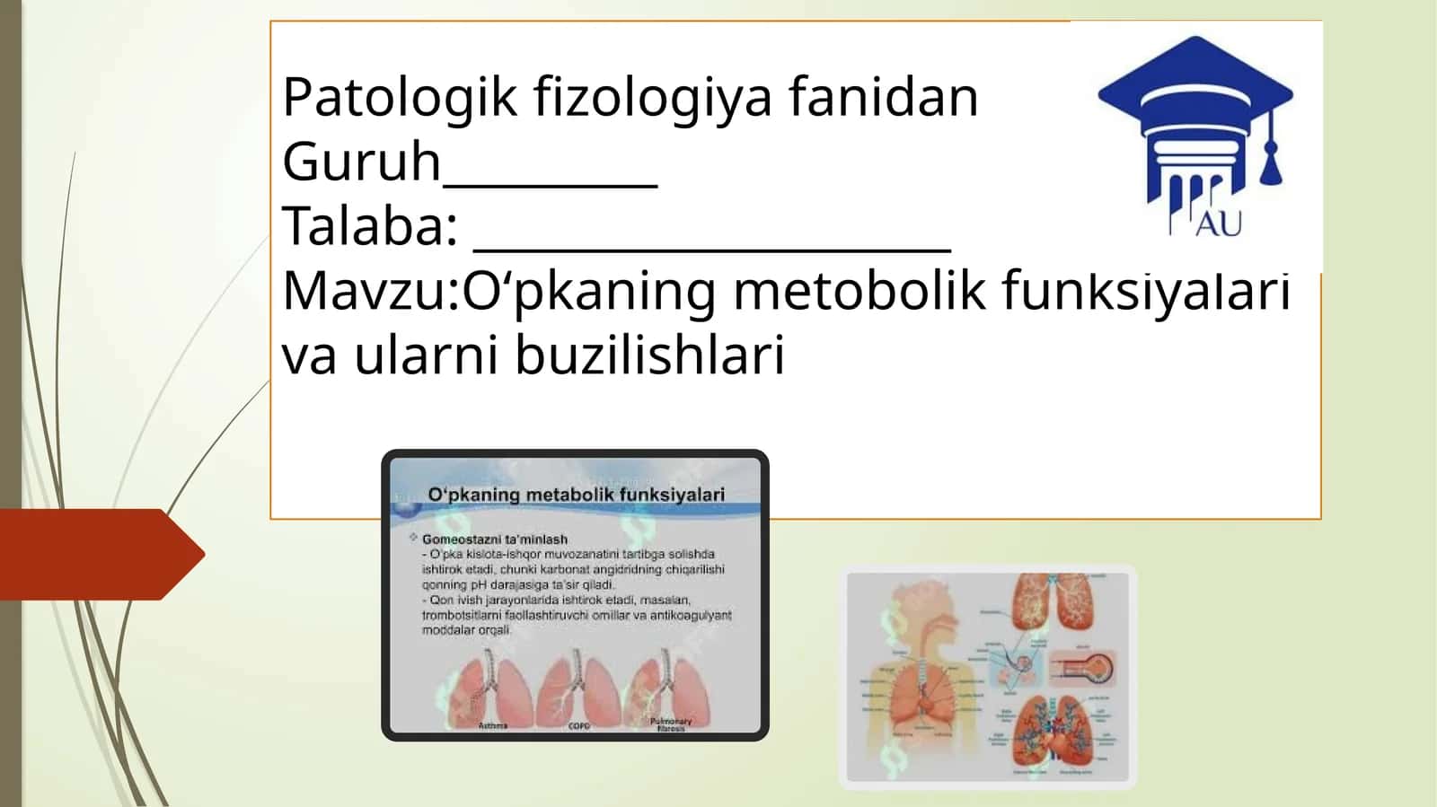 O‘pkaningmetobolikfunksiyalarivaularnibuzilishlari 1