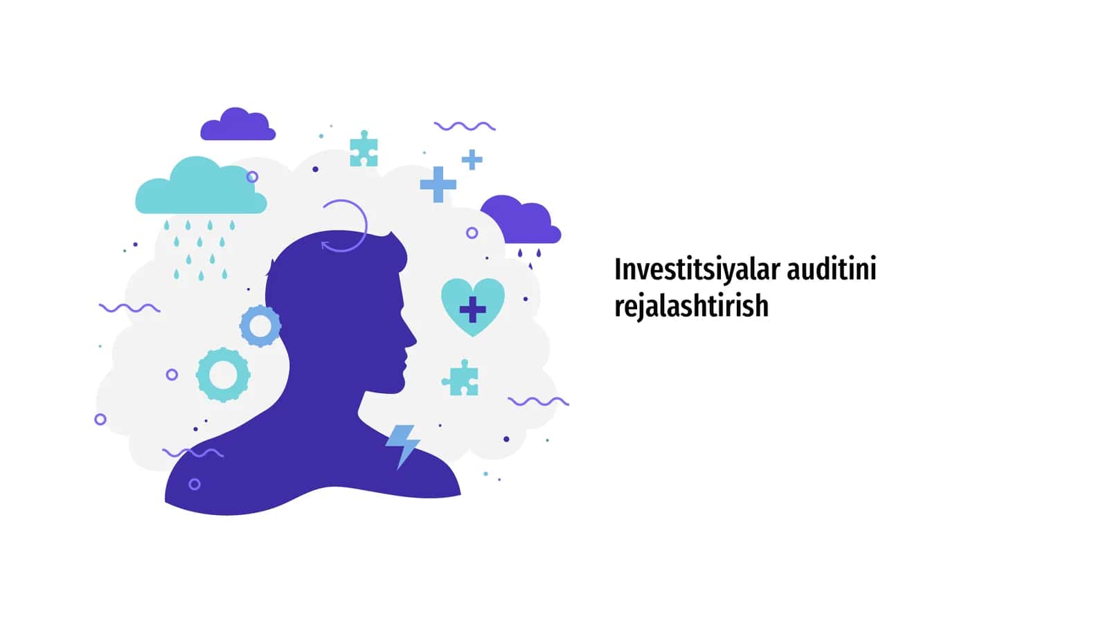 Investitsiyalar auditini rejalashtirish 1