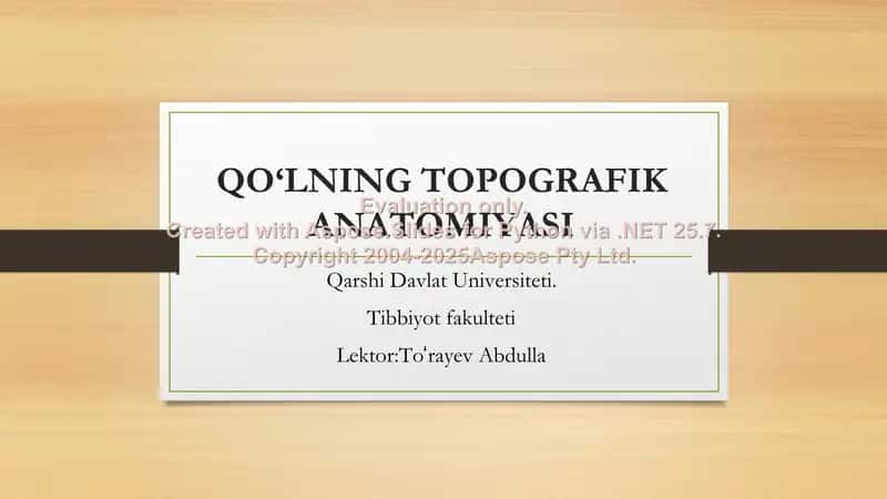 QO‘LNING TOPOGRAFIK ANATOMIYASI 1