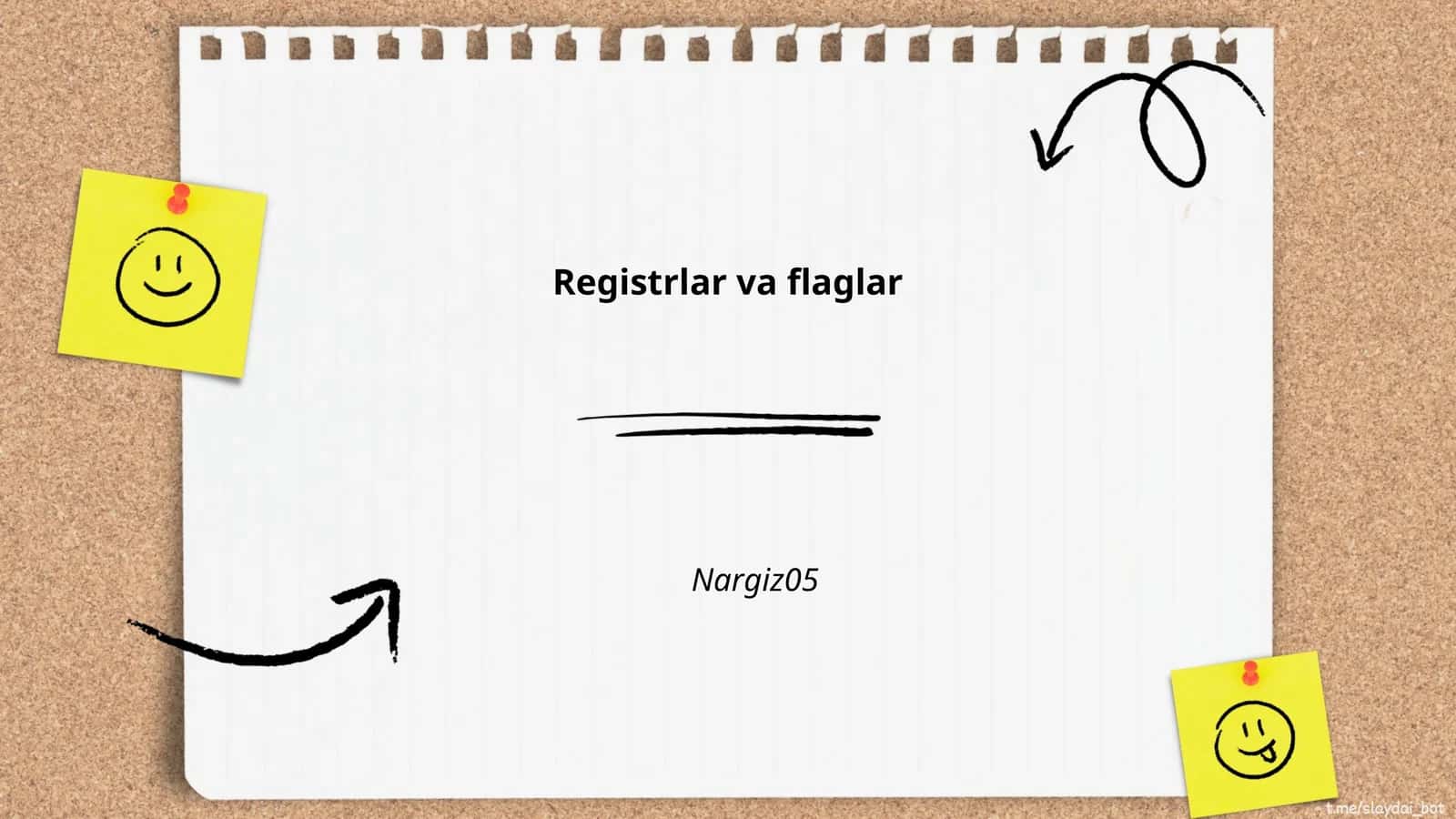Registrlar va flaglar 1