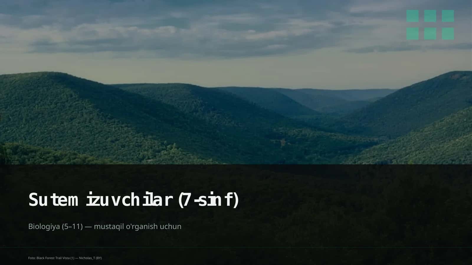 Sutemizuvchilar (7-sinf) 1