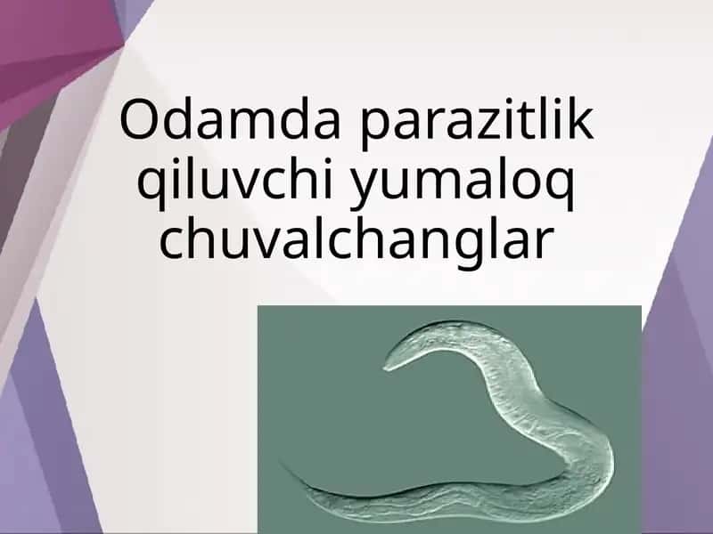 Odamda parazitlik qiluvchi yumaloq chuvalchanglar 1