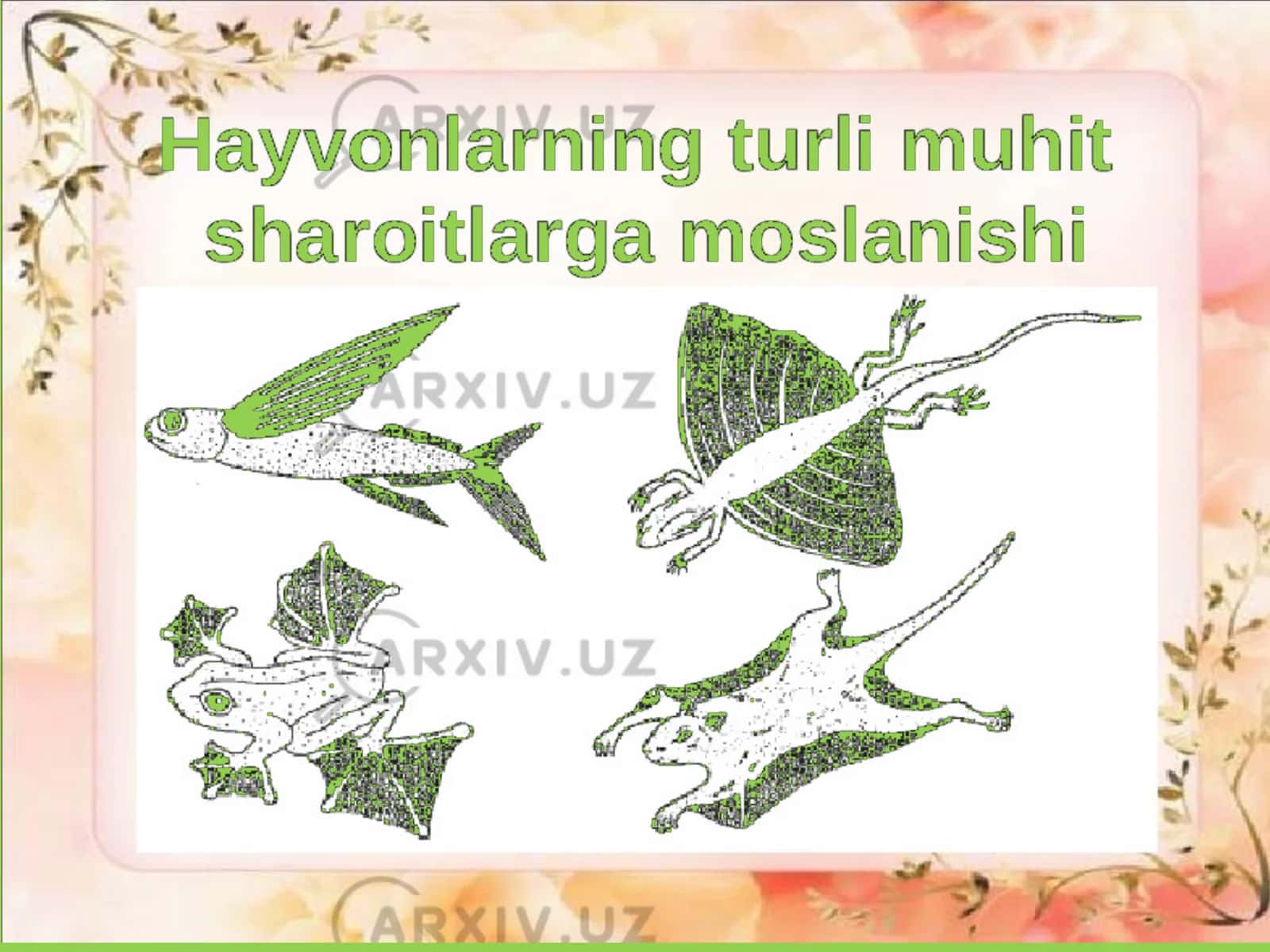 Hayvonot olamidagi moslanishlar 1