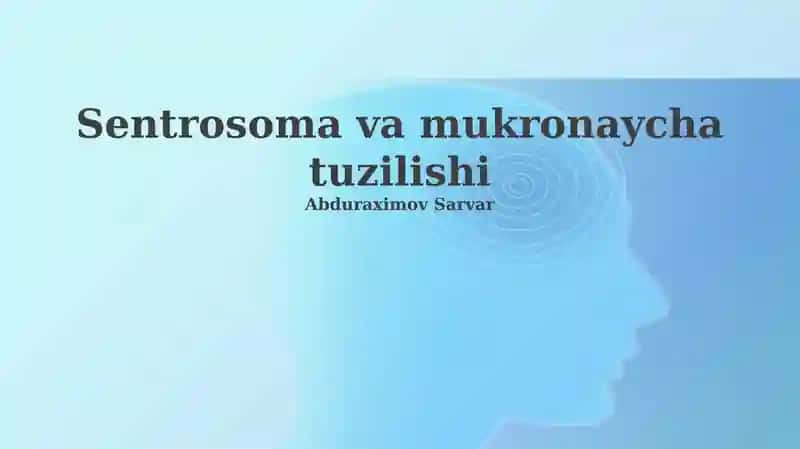Sentrosoma va mukronaycha tuzilishi