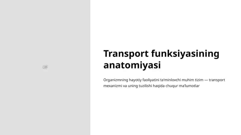 Transport funksiyasining anatomiyasi 1