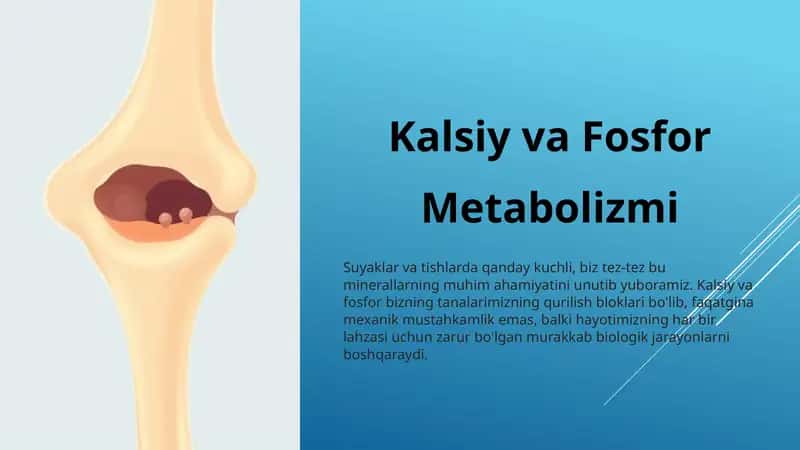 Kalsiy va Fosfor metabolizmi 1