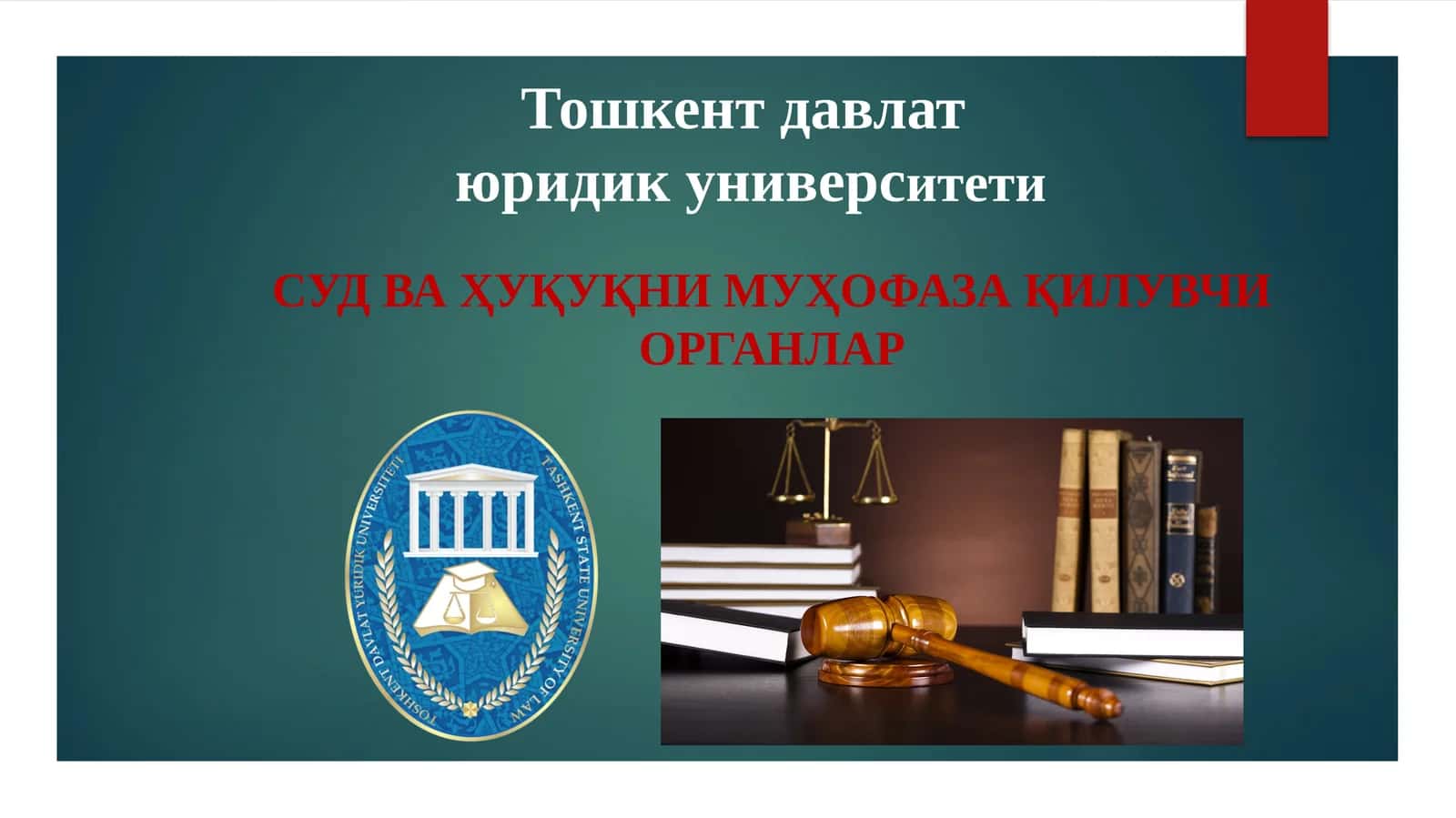 Божхона ва солиқ органлари 1