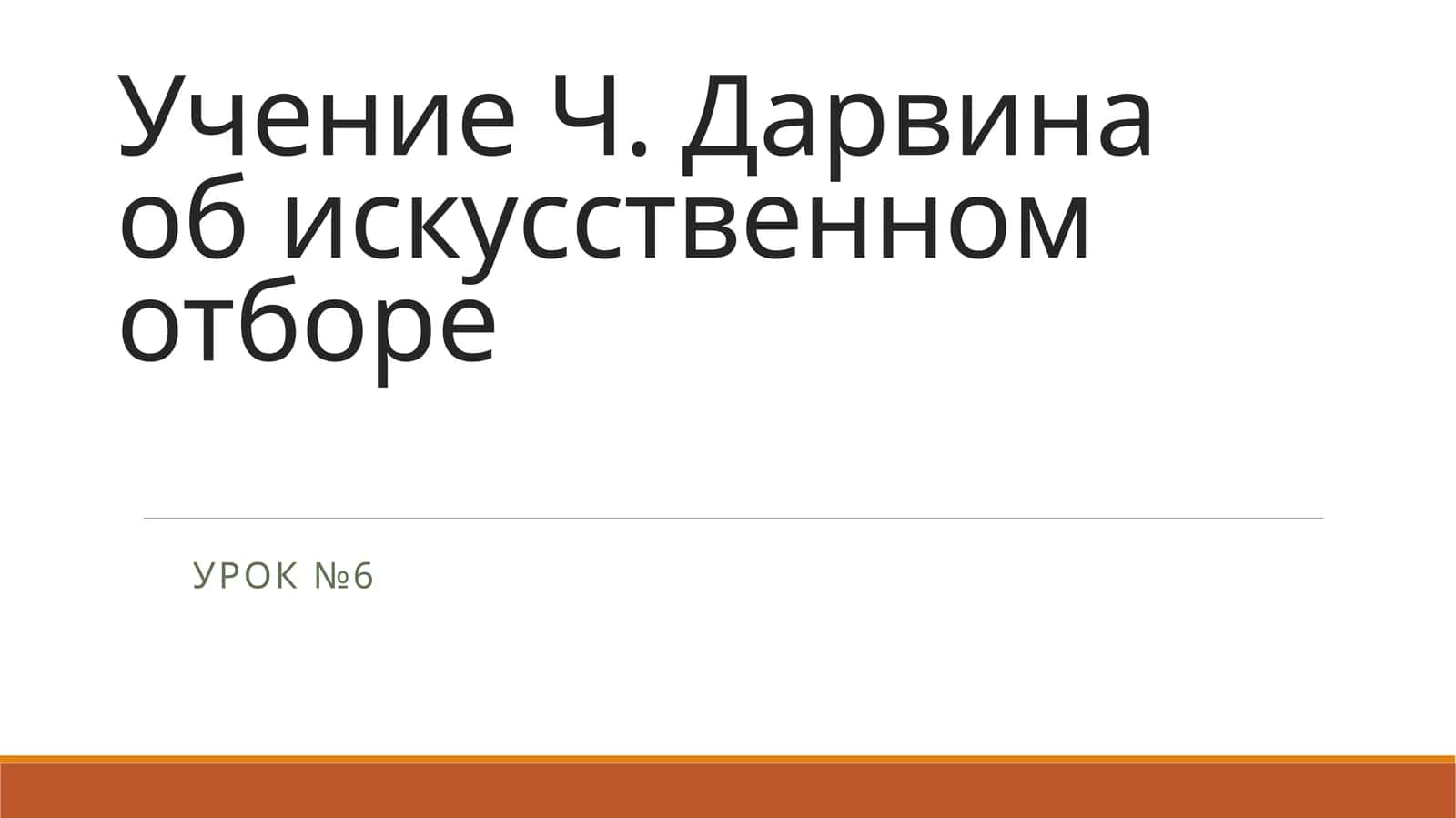 Дикая утка кряква 1