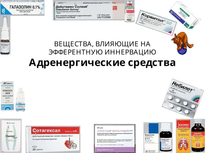 Адренергические средства 1