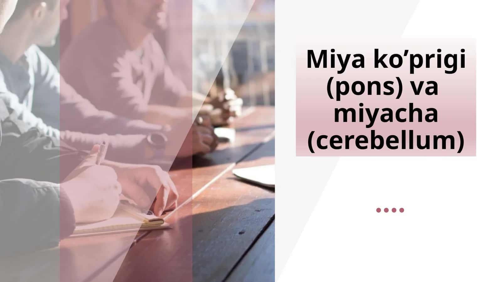 Miyako’prigi(pons)vamiyacha(cerebellum) 1