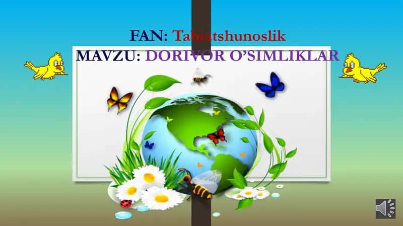 DORIVOR O’SIMLIKLAR 1