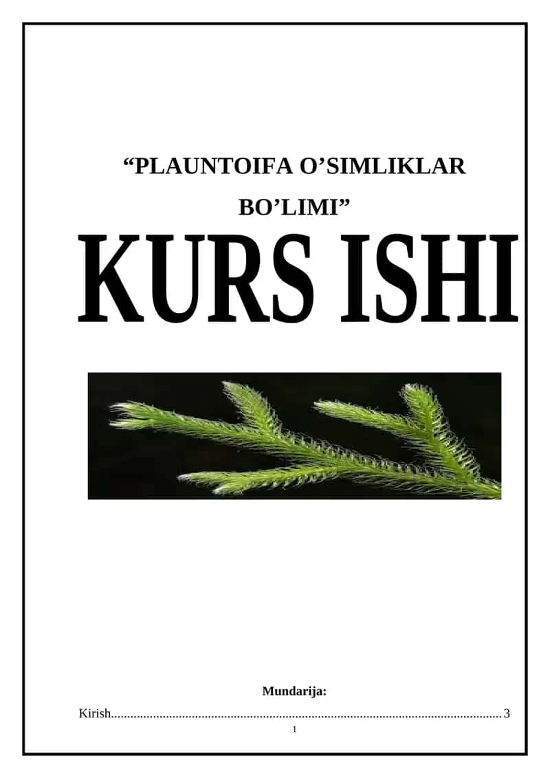 PLANTOIFA O'SIMLIKLAR BO'LIMI 1