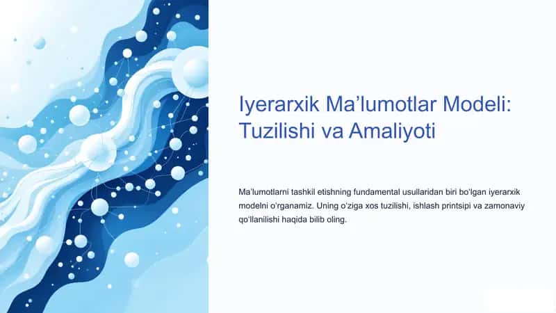 Iyerarxik Ma’lumotlar Modeli: Tuzilishi va Amaliyoti 1