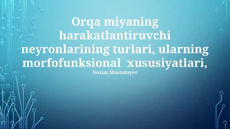 Orqa miyaning harakatlantiruvchi neyronlarining turlari 1