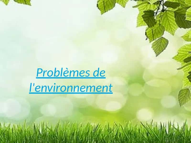 Problèmes de l'environnement 1