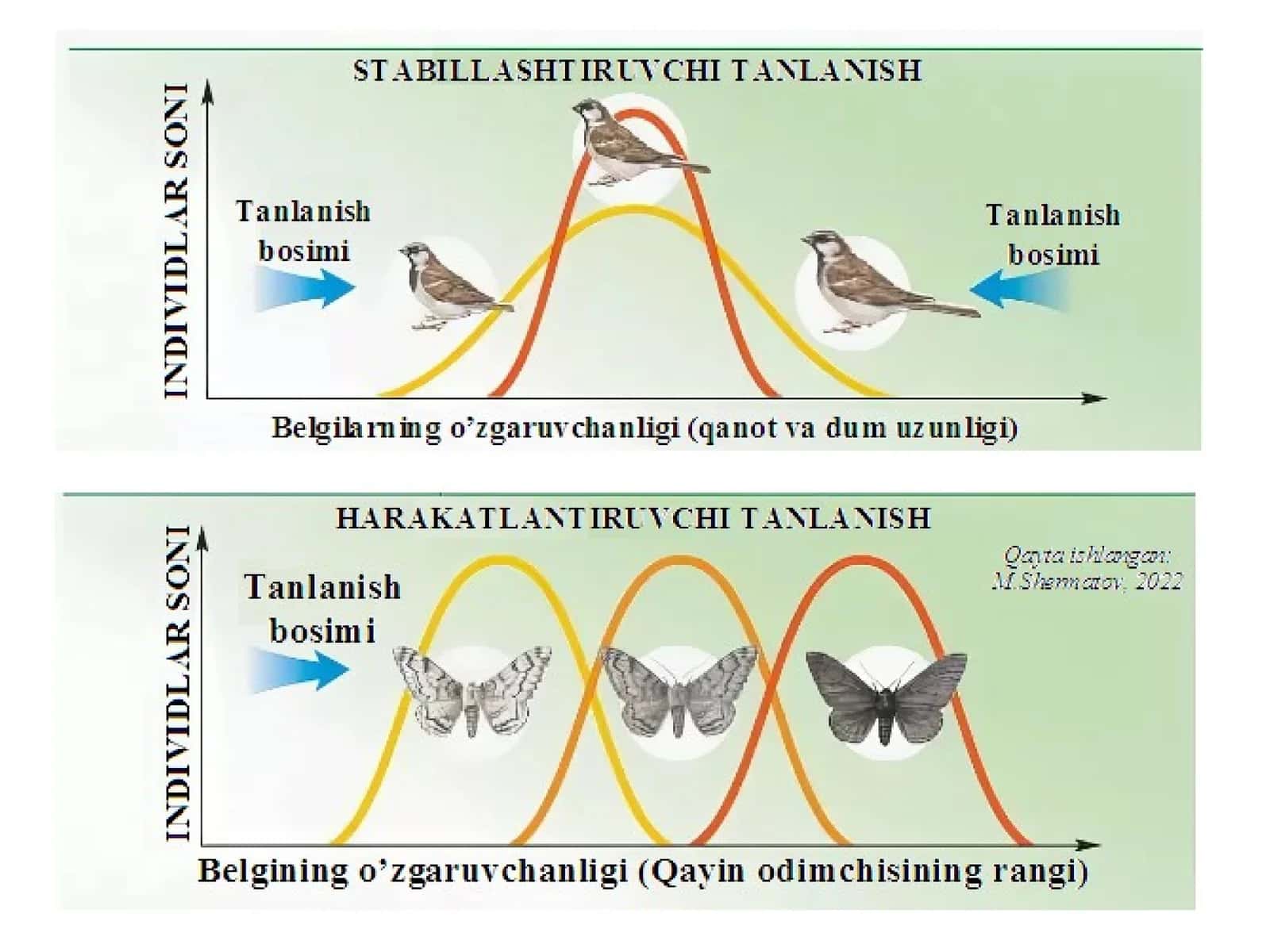 Jinsiy tanlanish 1