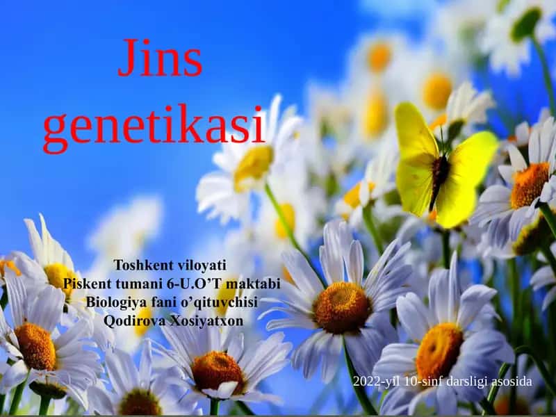 Jins genetikasi 1
