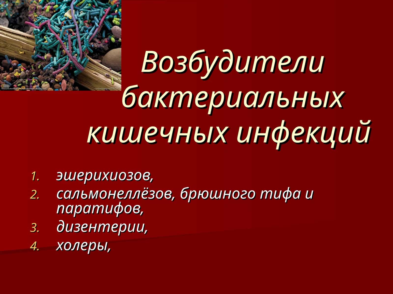 Возбудители бактериальных кишечных инфекций 1