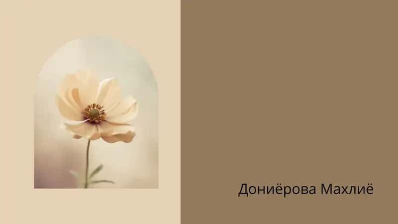 зарубежные литература 1