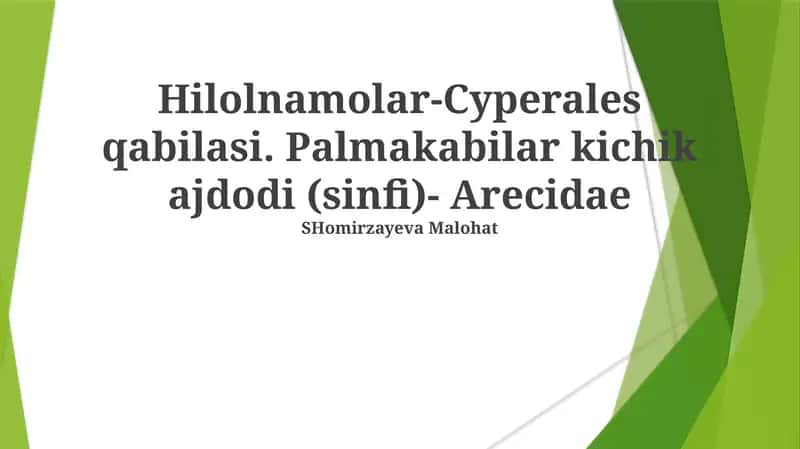 Hilolnamolar-Cyperales qabilasi 1