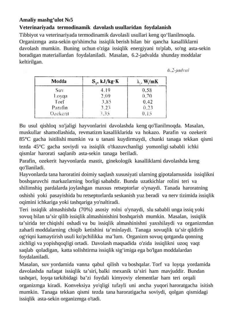 Amaliy mashg’ulot №5 1