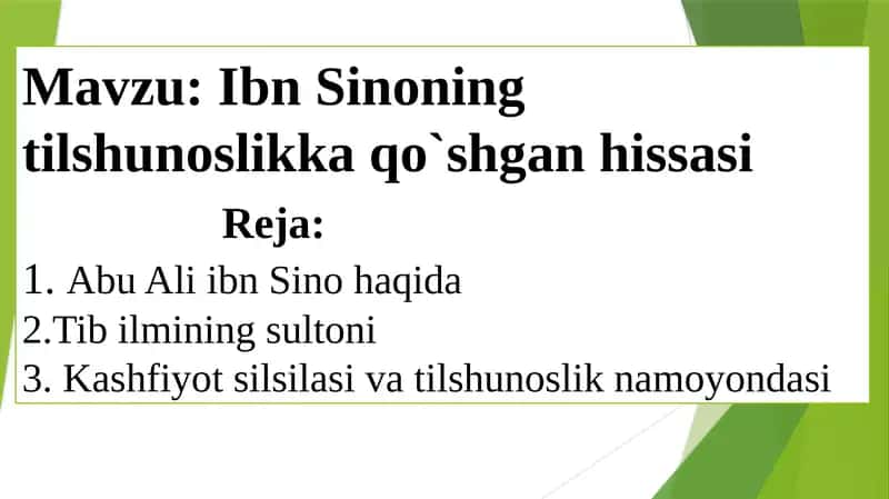 Abu Ali Ibn Sino 1