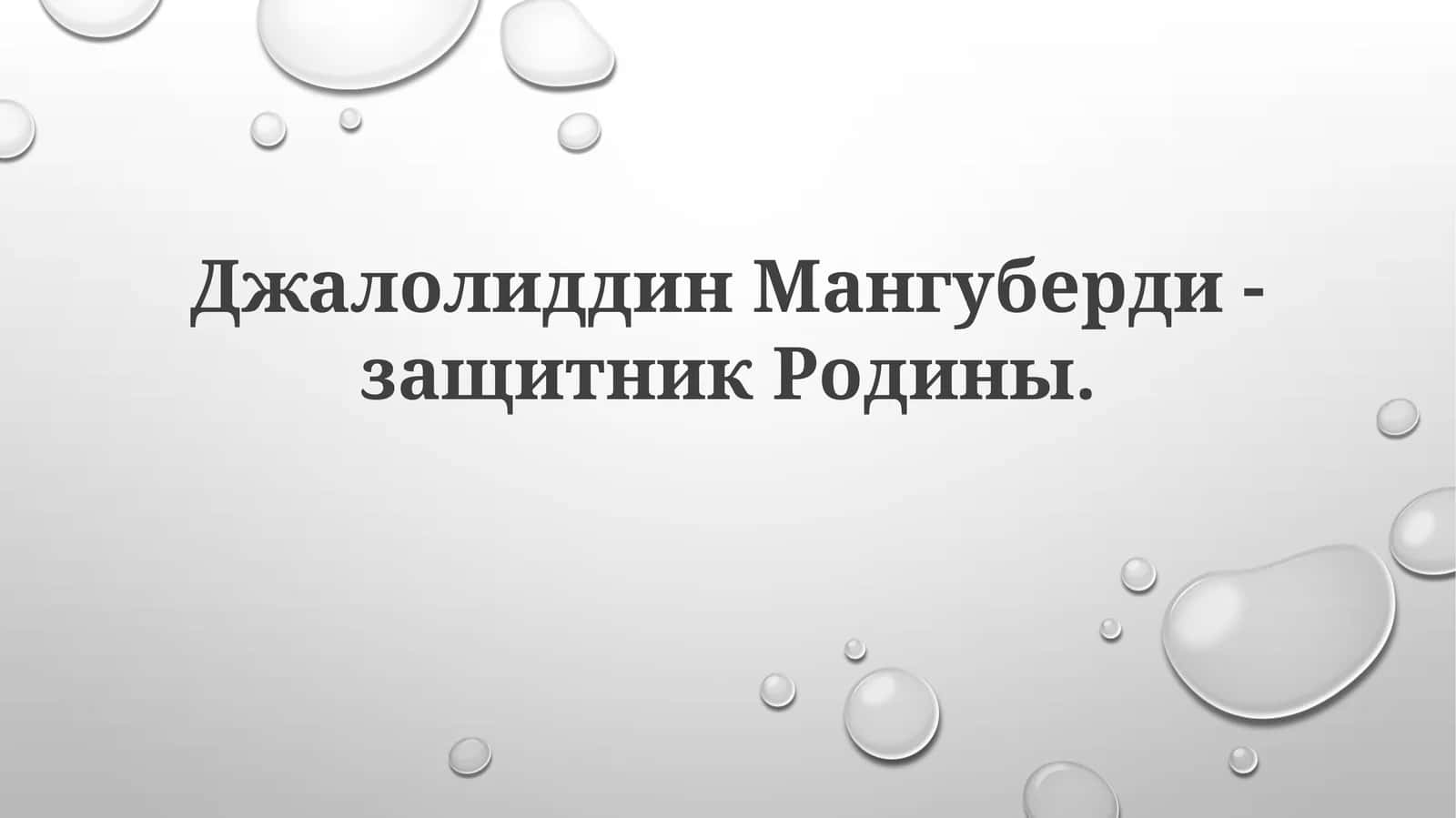 ДжалолиддинМангуберди-защитникРодины 1