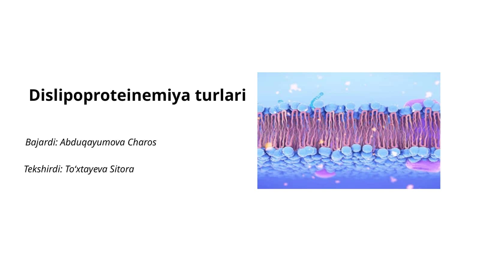 Dislipoproteinemiya turlari 1