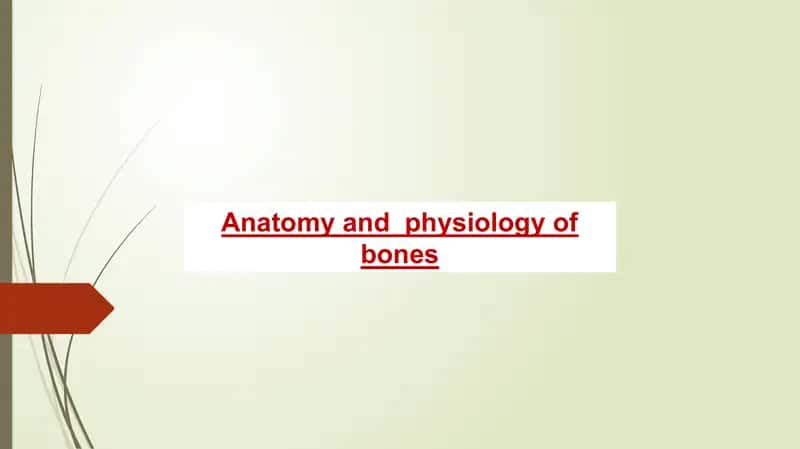 Anatomy and  physiology of bones 1