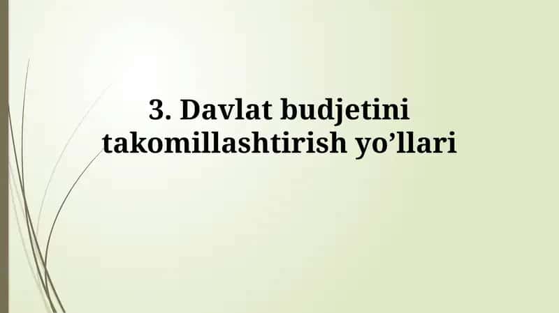Davlat budjetini takomillashtirish yo'llari 1