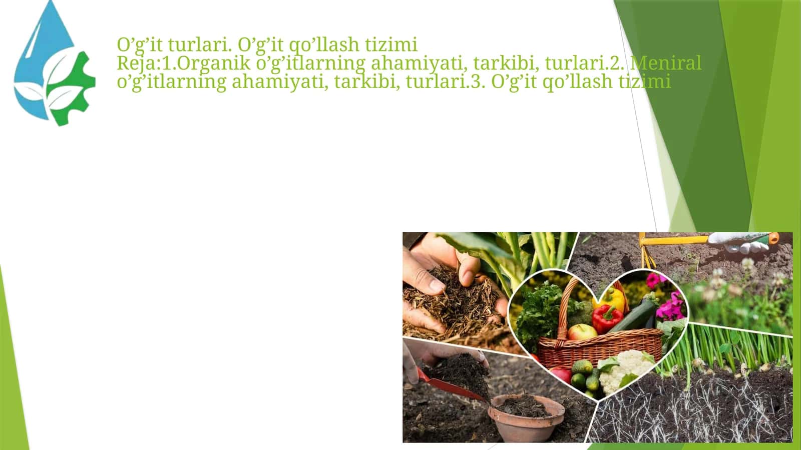 O’g’it Turlari va O’g’it Qo’llash Tizimi 1