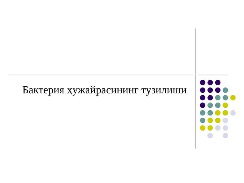 Бактерия ҳужайрасининг тузилиши 1