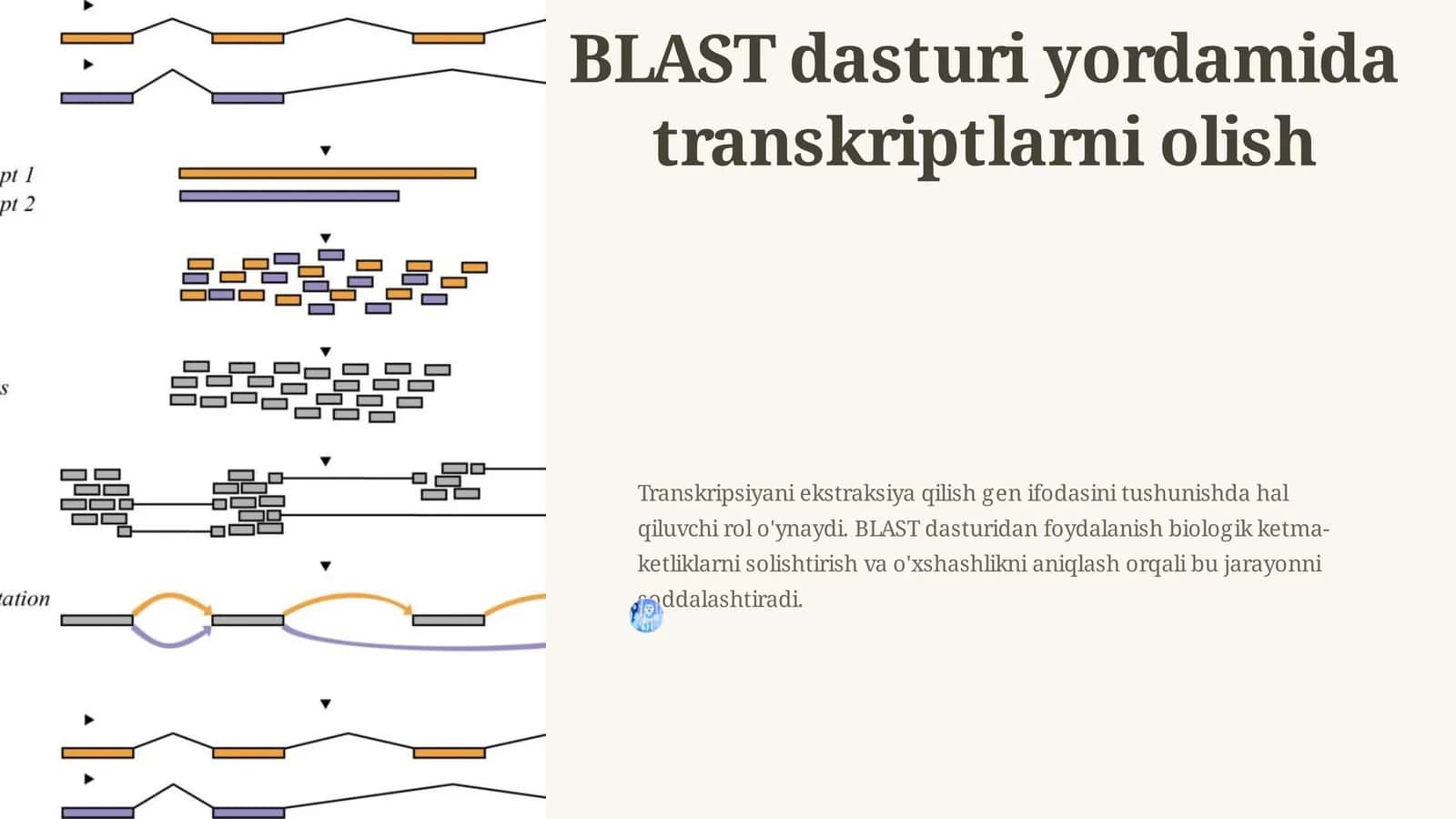 BLAST dasturi yordamida transkriptlarni olish 1