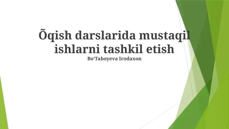 Mustaqil ishlarni tashkil etish 1
