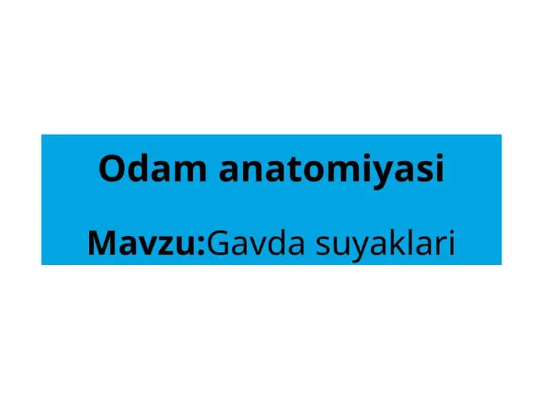 Odam anatomiyasi 1