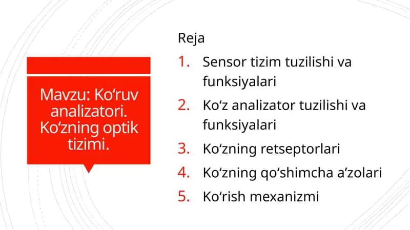 Koʻruv analizatori. Koʻzning optik tizimi. 1