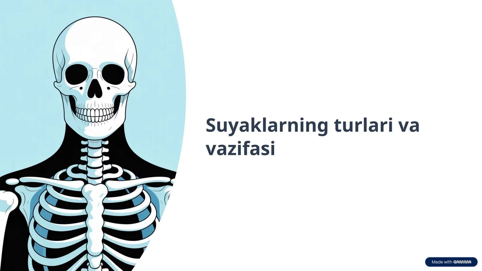 Suyaklarning turlari va vazifasi 1