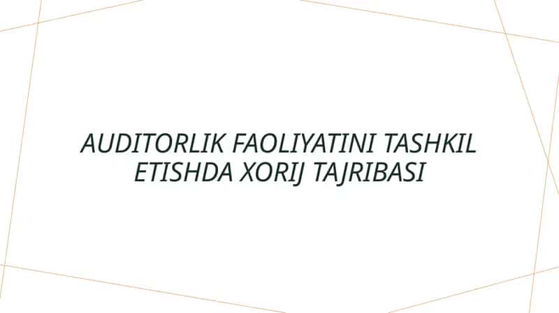 Auditorlik faoliyatini tashkil etishda xorij tajribasi 1