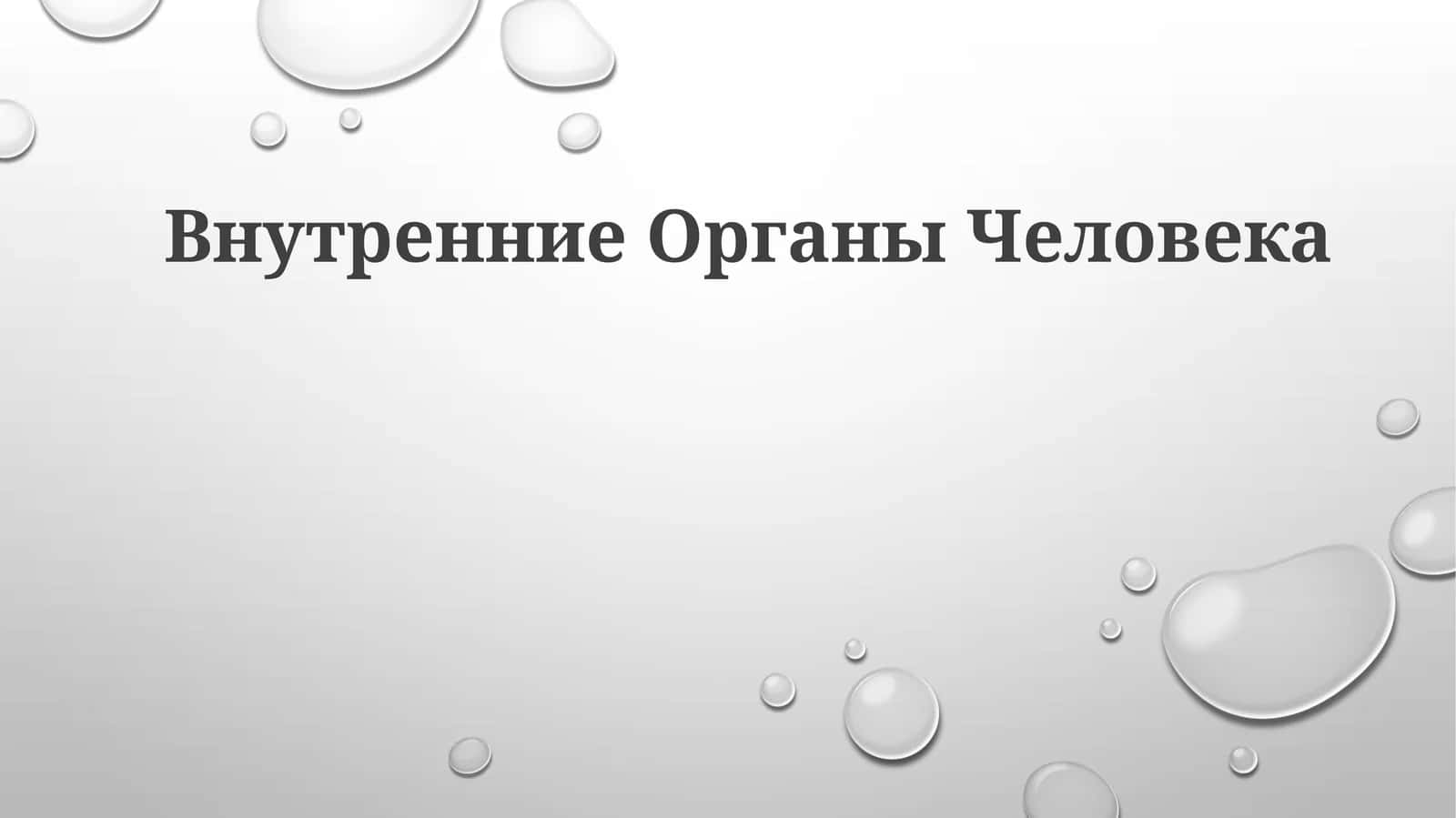 ВнутренниеОрганыЧеловека 1